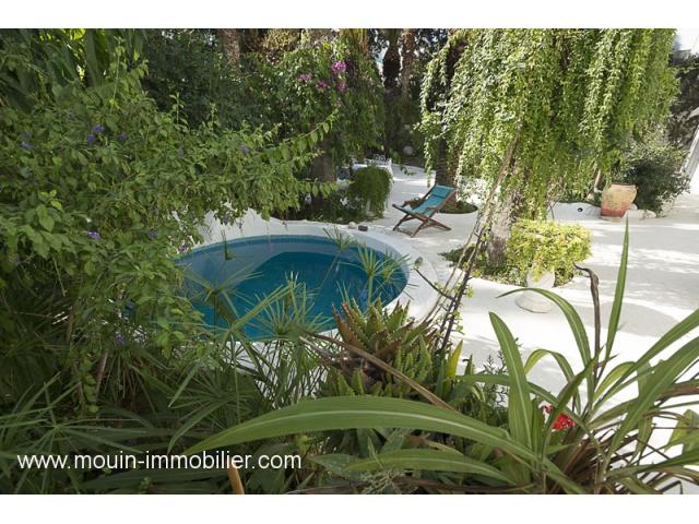 Photo VILLA DES 25 PALMIERS Hammamet AL014 image 2/6