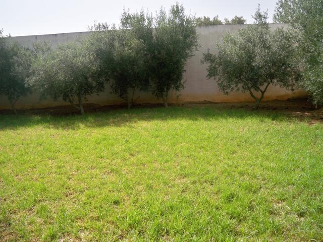 Photo Villa El Borj ref AV813 Ariana image 2/6
