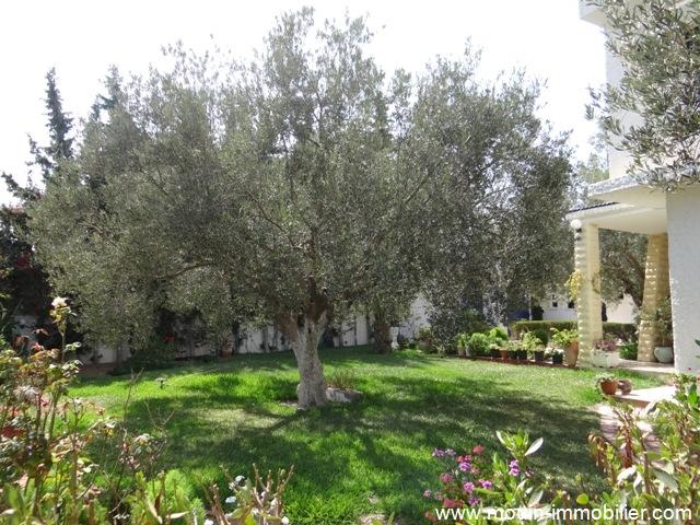 Photo Villa Eline AV367 Hammamet Nord image 2/6