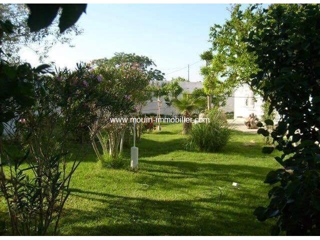 Photo Villa Eucalyptus ref AV660 Hammamet Baraket Essahel image 2/6