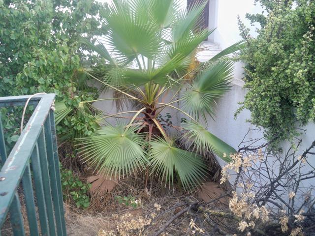 Photo villa hammouda AV827 menzah7 tunis image 2/6