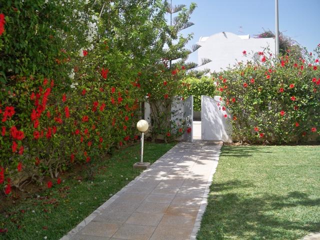 Photo Villa Hayet ref AL1387 Jinan Hammamet image 2/6