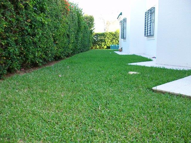 Photo Villa Italienne ref AL221 Hammamet image 2/5