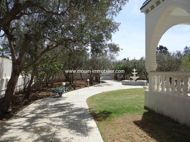 Photo Villa L'Opera ref AL1298 Hammamet sidi mahersi image 2/6