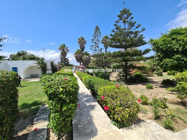 Photo Villa La Citronnelle CII AL2117 Hammamet sidi mahersi image 2/6