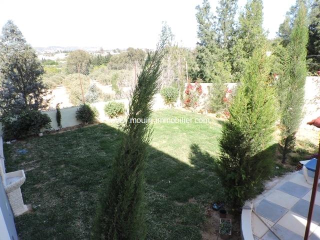 Photo Villa Moliere AV761 Hammamet image 2/6