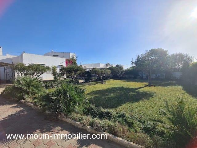 Photo Villa Nicole AL1127 Hammamet image 2/6