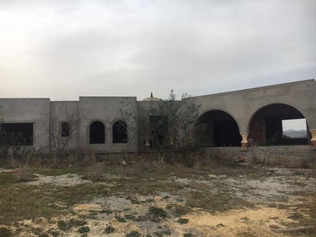 Photo Villa Oedipe 2 AV1429 Hammamet Sud image 2/3