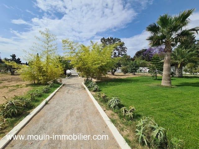 Photo Villa Romeo AL3134 Hammamet zone theatre image 2/6