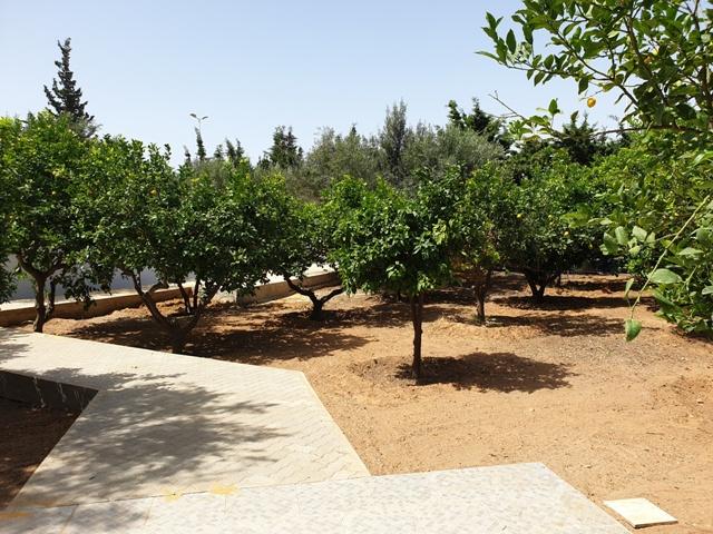 Photo Villa The Peace AL2430 Hammamet Nord image 2/6