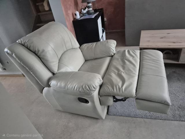 Photo 2 fauteuils cuir 1 relax image 3/3