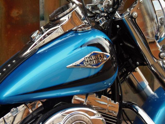 Photo 2011 Harley- Davidson FLSTC Heritage image 3/5