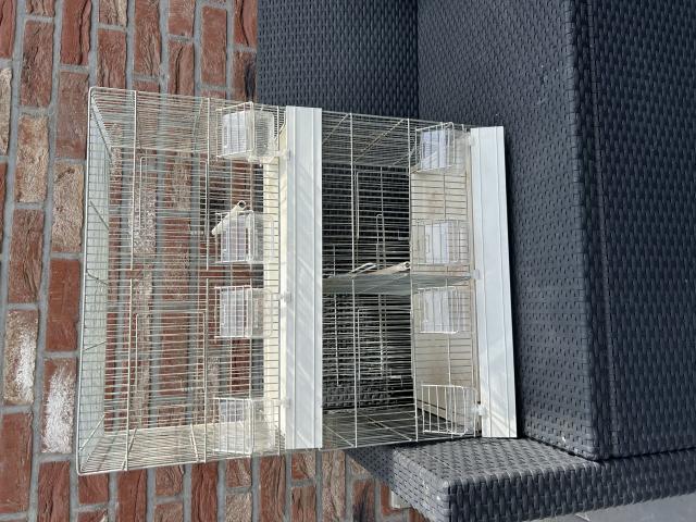 Photo 4 cages élevages canaris image 3/4
