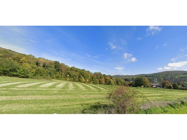 Photo 5544 Hastière : splendide parcelle, 51 ares. image 3/4