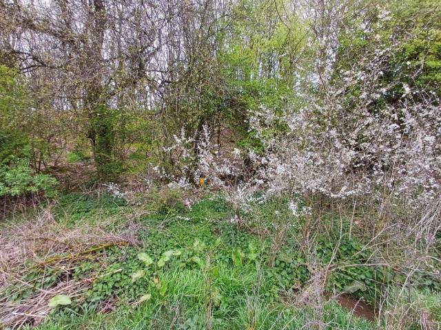 Photo 6600 LUTREMANGE / Bastogne : terrain de 22a 98ca, dans un village calme. image 3/3