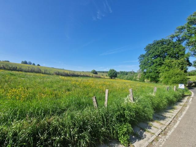 Photo 6830 Les Hayons : très beau terrain, 1Ha 44a 66ca. image 3/4