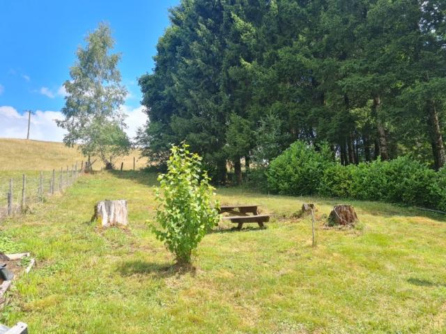 Photo 6880 Auby-sur-Semois : agréable chalet, 2ch, jardin, 7a 22ca. image 3/6