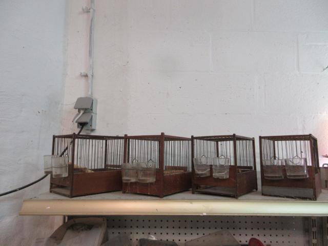 Photo A vendre 1 lot de petites cages image 3/6