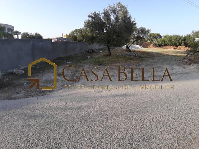 Photo A vendre a Akouda un terrain image 3/3