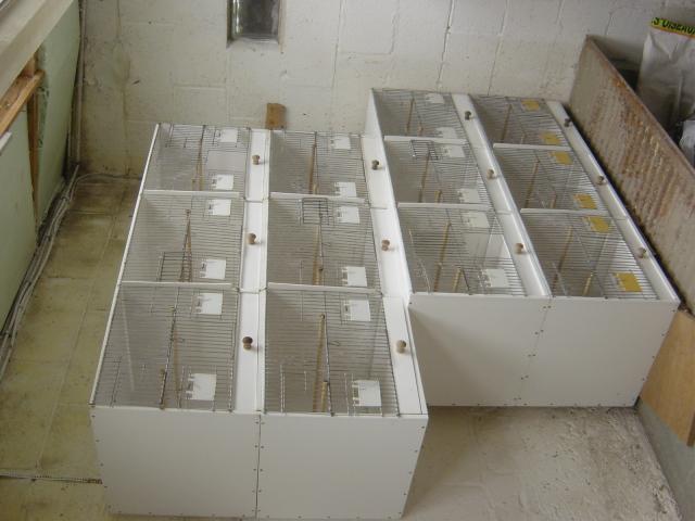 Photo A vendre cages en FOREX image 3/5