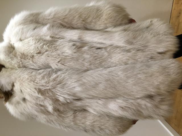 Photo À vendre superbe veste fourrure en renard argenté image 3/3