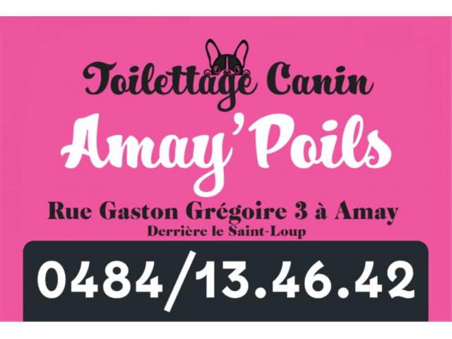 Photo Amay'Poils toilettage canin professionnel à Amay image 3/6