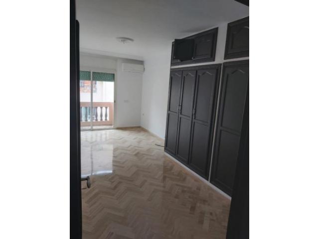 Photo appartement au quartier racine a louer image 3/4