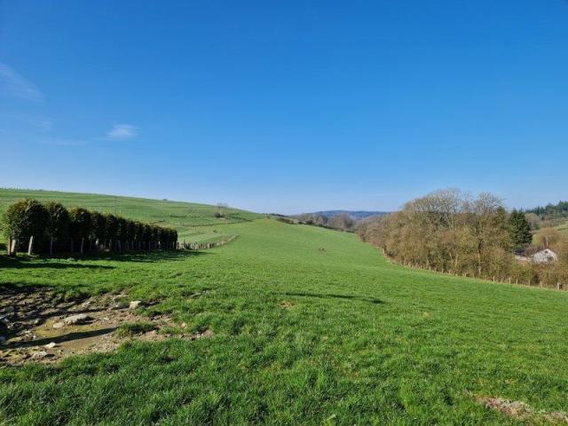 Photo AUBY-SUR-SEMOIS : Ensemble de terrains, 4ha 32a 33ca. image 3/6