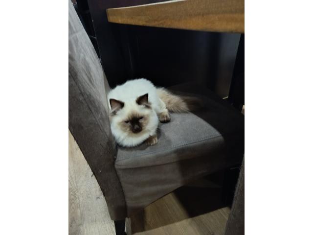 Photo audecollet007@gmail.com image 3/3