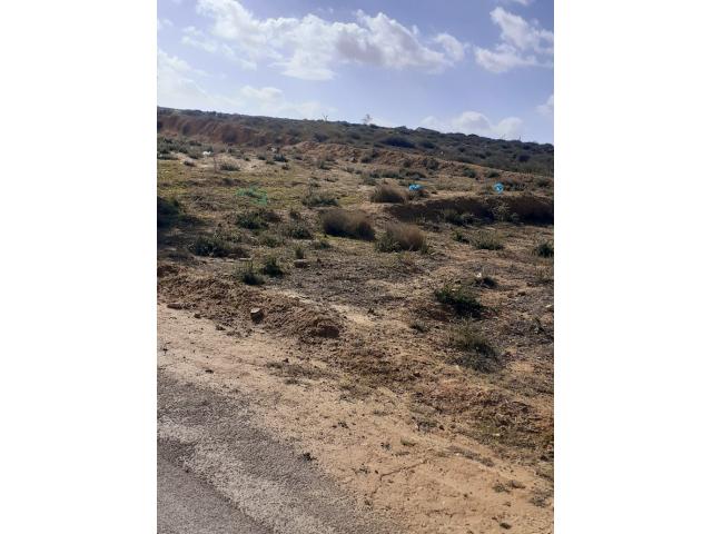 Photo av des lots de 400m a hammamet sud image 3/3