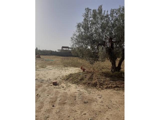 Photo av des lots de 691m a hammamet sud image 3/3