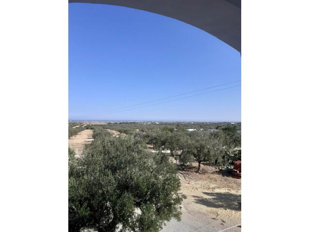 Photo av duplex 340md a hammamet sud image 3/3