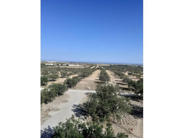 Photo av duplex de 1000m a hammamet sud image 3/3