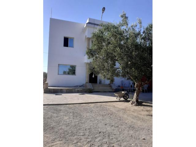 Photo av duplex de 1000m a hammamet sud image 3/3