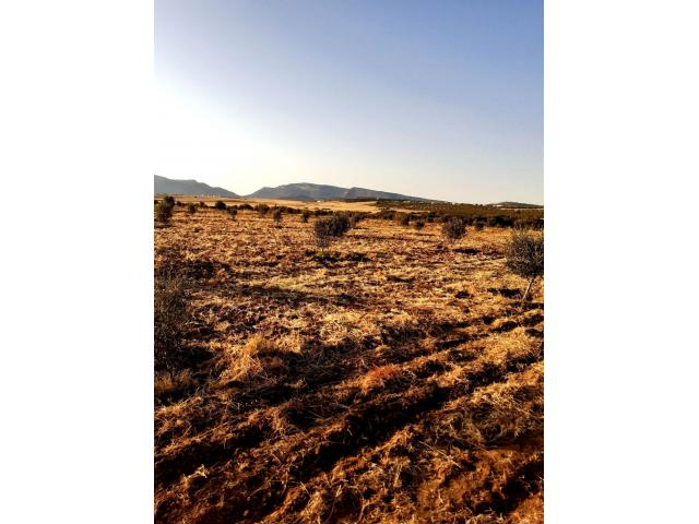 Photo av terrain 1000m a hammamet sud image 3/3