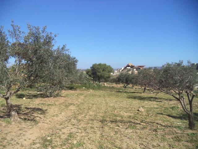 Photo av terrain 1030m² a hammamet monchar image 3/3