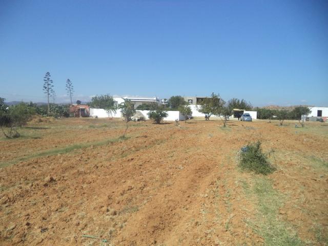 Photo av terrain  35md a hammamet sud image 3/4