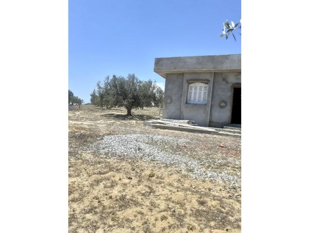 Photo av terrain 5350m a hammamet sud image 3/4
