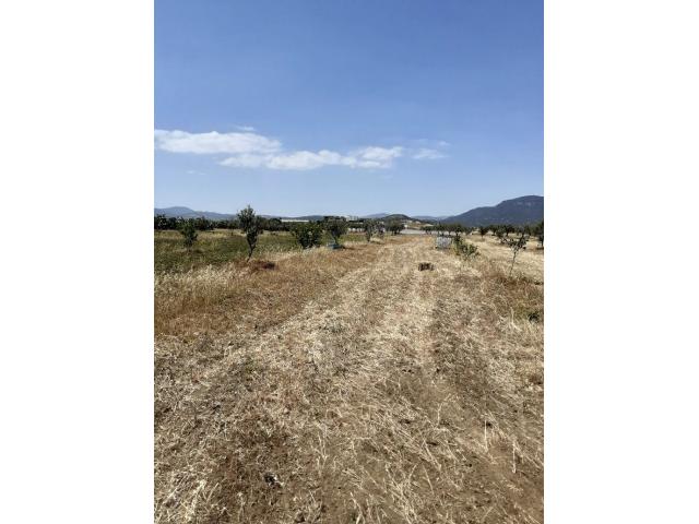 Photo av terrain 8500m² a hammamet sud image 3/3