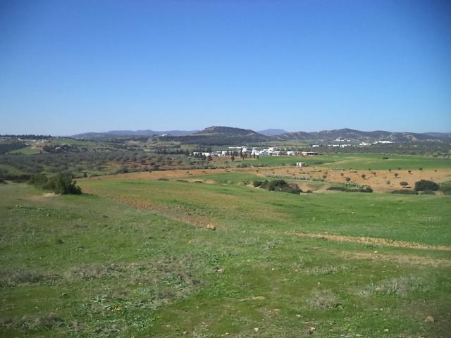 Photo av terrain agricole nue de 17900m a hammamet image 3/3