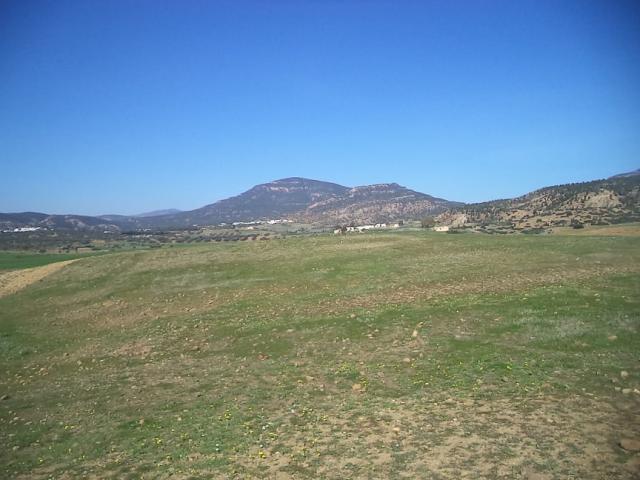 Photo av terrain agricole nue de 17900m a hammamet image 3/3