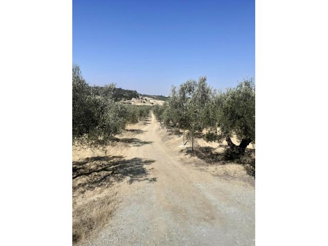 Photo av terrain de 1456m² a hammamet image 3/3