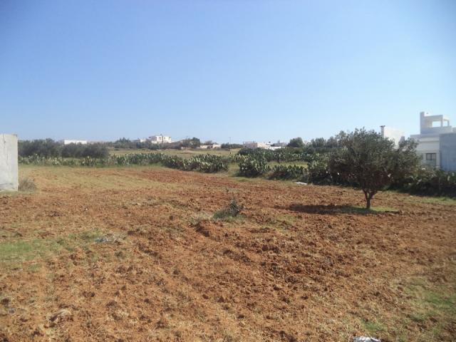 Photo av terrain de 500m a hammamet sud image 3/3