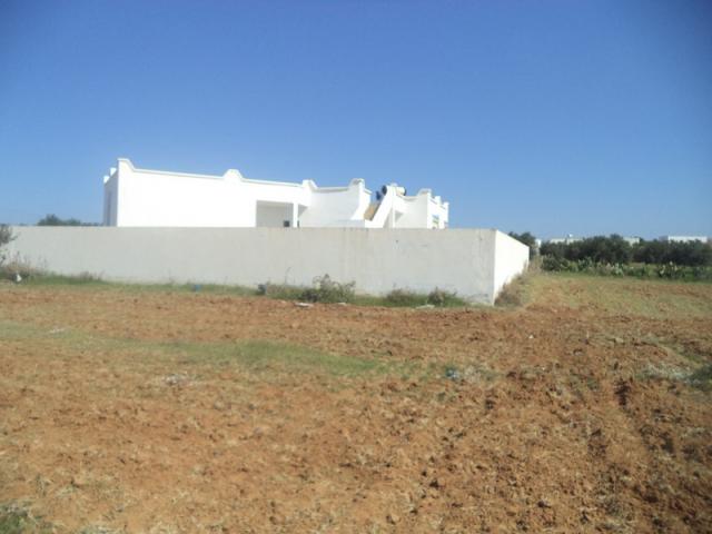 Photo av terrain de 500m a monchar hammamet sud image 3/3