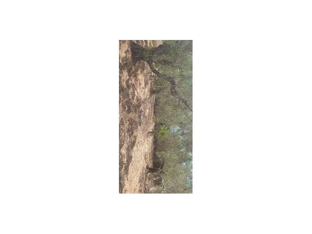 Photo av terrain de 670m² a hammamet image 3/3