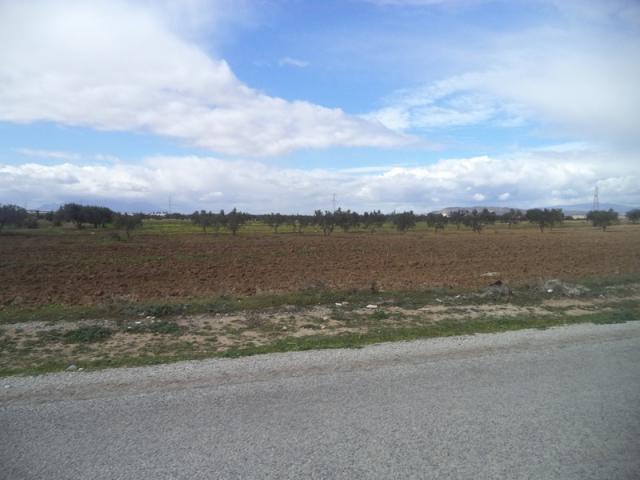 Photo av terrain de 9000m² a hammamet sud image 3/3