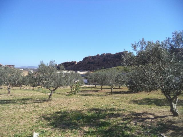Photo Av un terrain de 1030m²  hammamet sud image 3/3