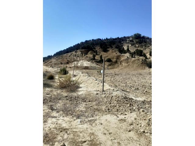 Photo av un terrain de 1300m² a hammamet image 3/3