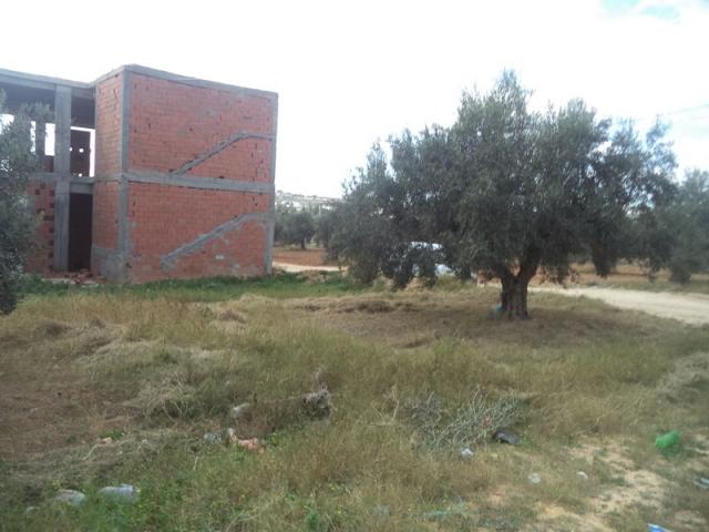 Photo av un terrain de 408m² a hammamet image 3/3