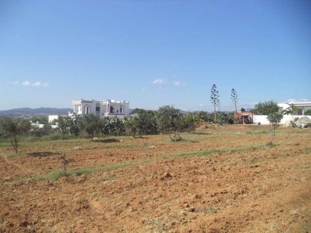Photo av un terrain de 500m² situé a monchar hammamet sud image 3/4